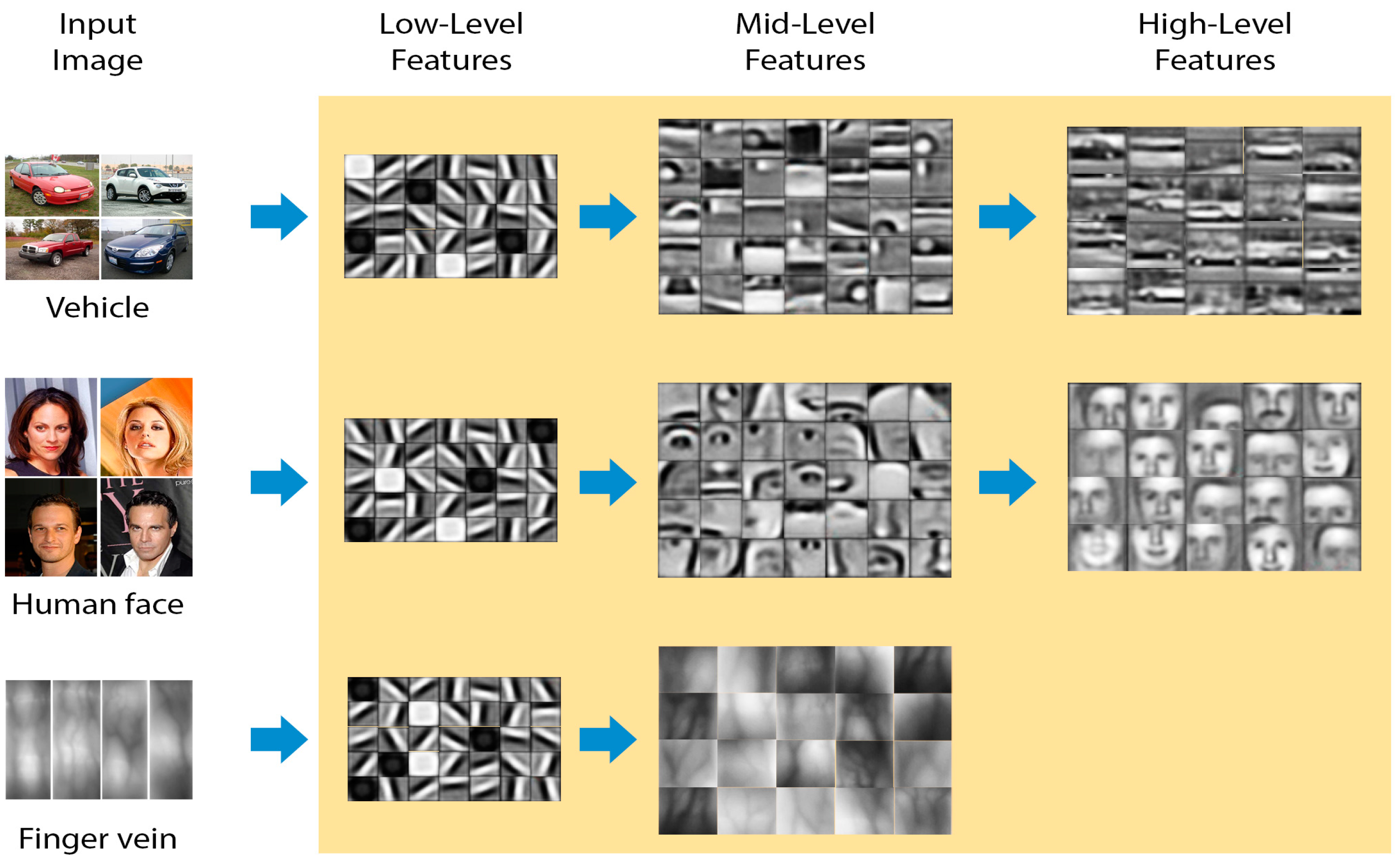 Electronics 13 01751 g002