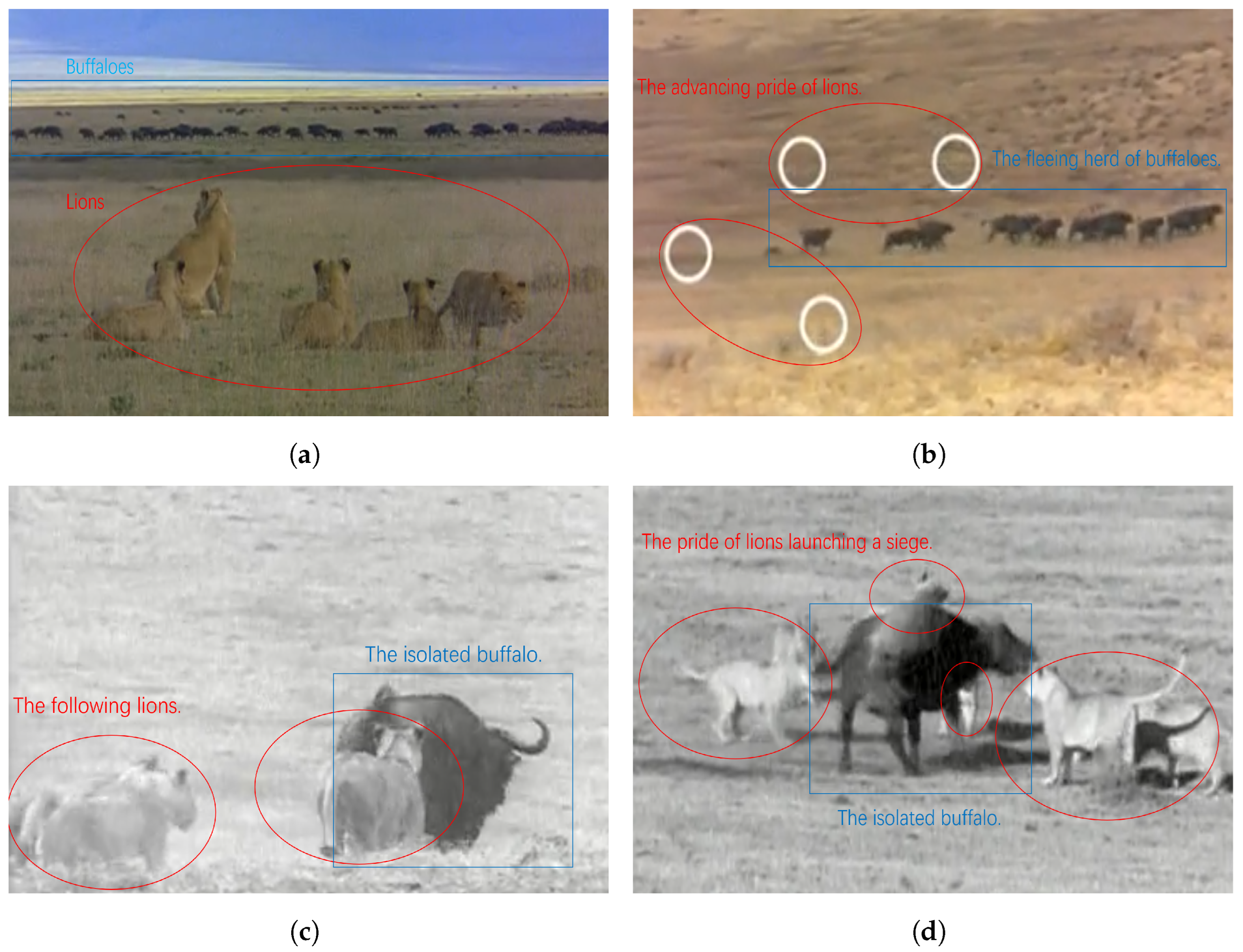 Electronics 13 01848 g002