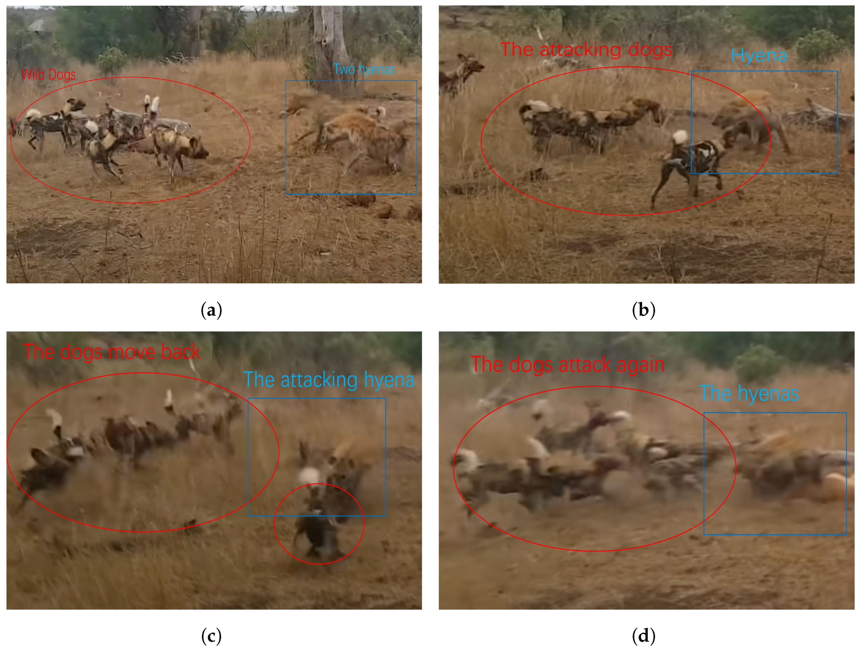 Electronics 13 01848 g003