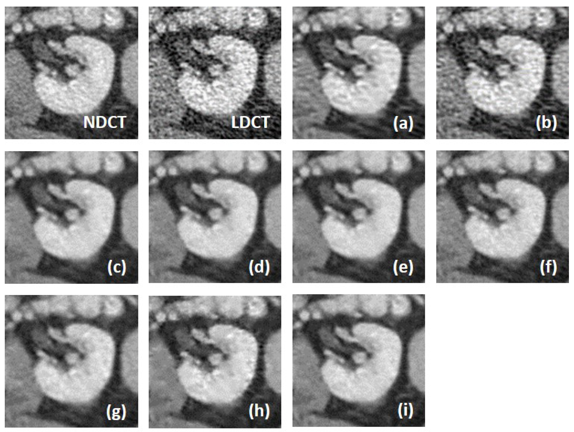 Electronics 13 01906 g010