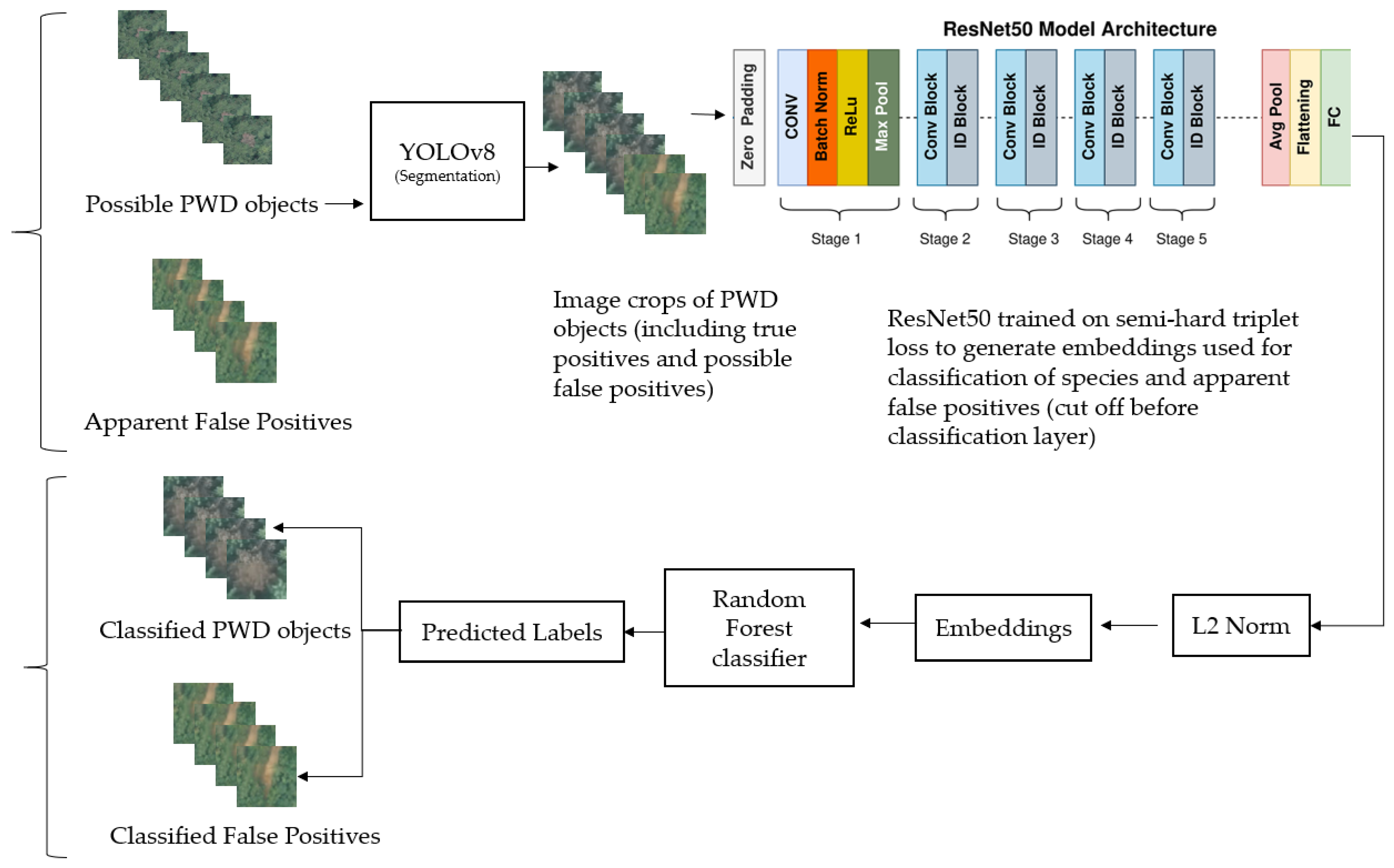 Electronics 13 01951 g002