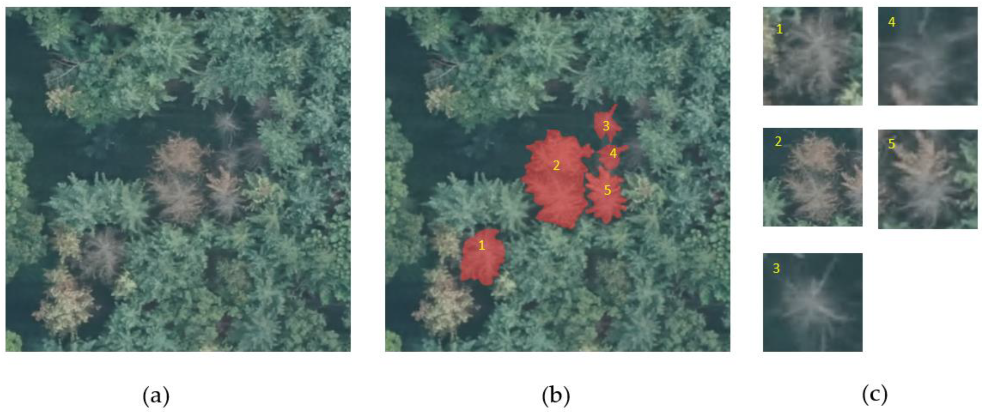 Electronics 13 01951 g003