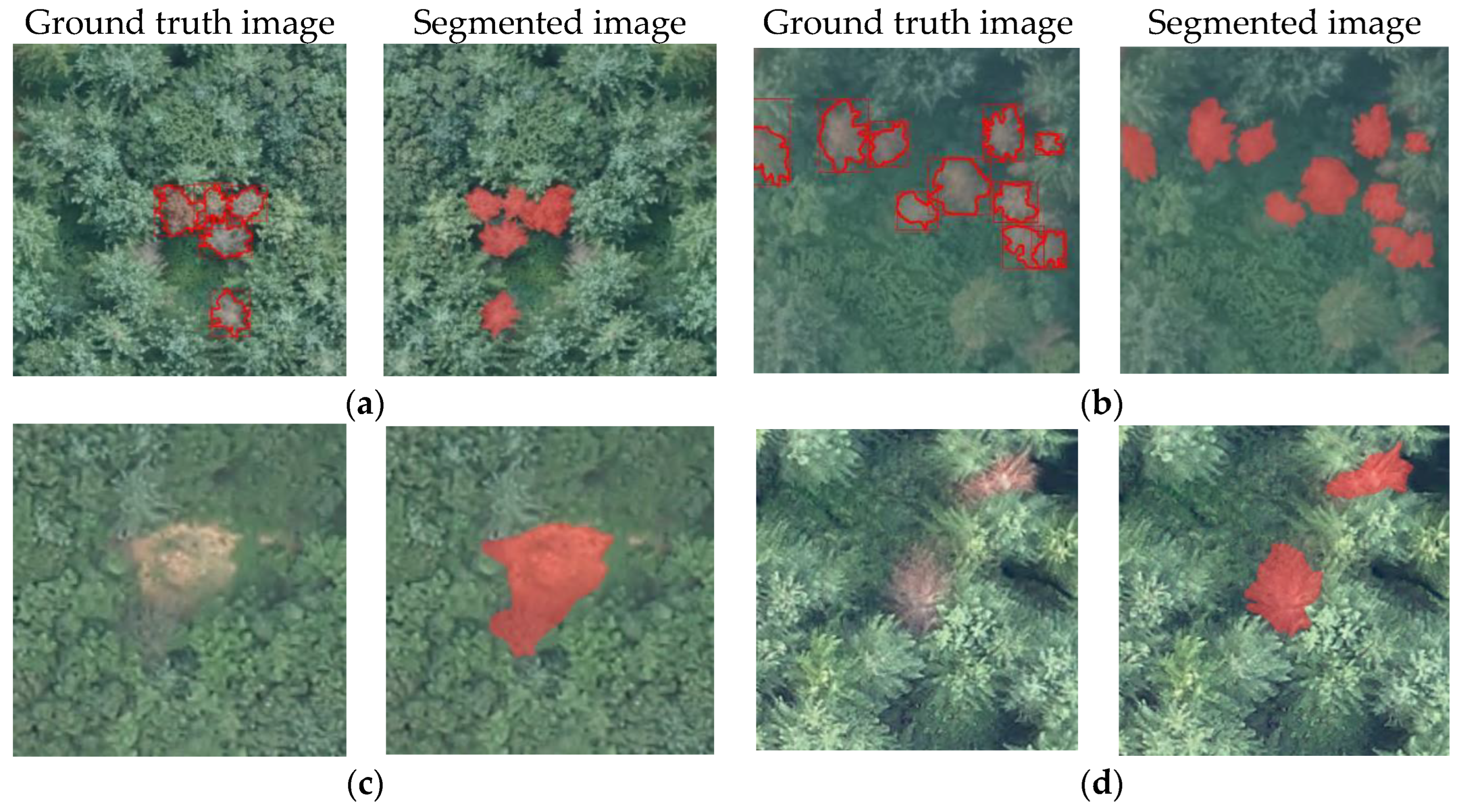 Electronics 13 01951 g005