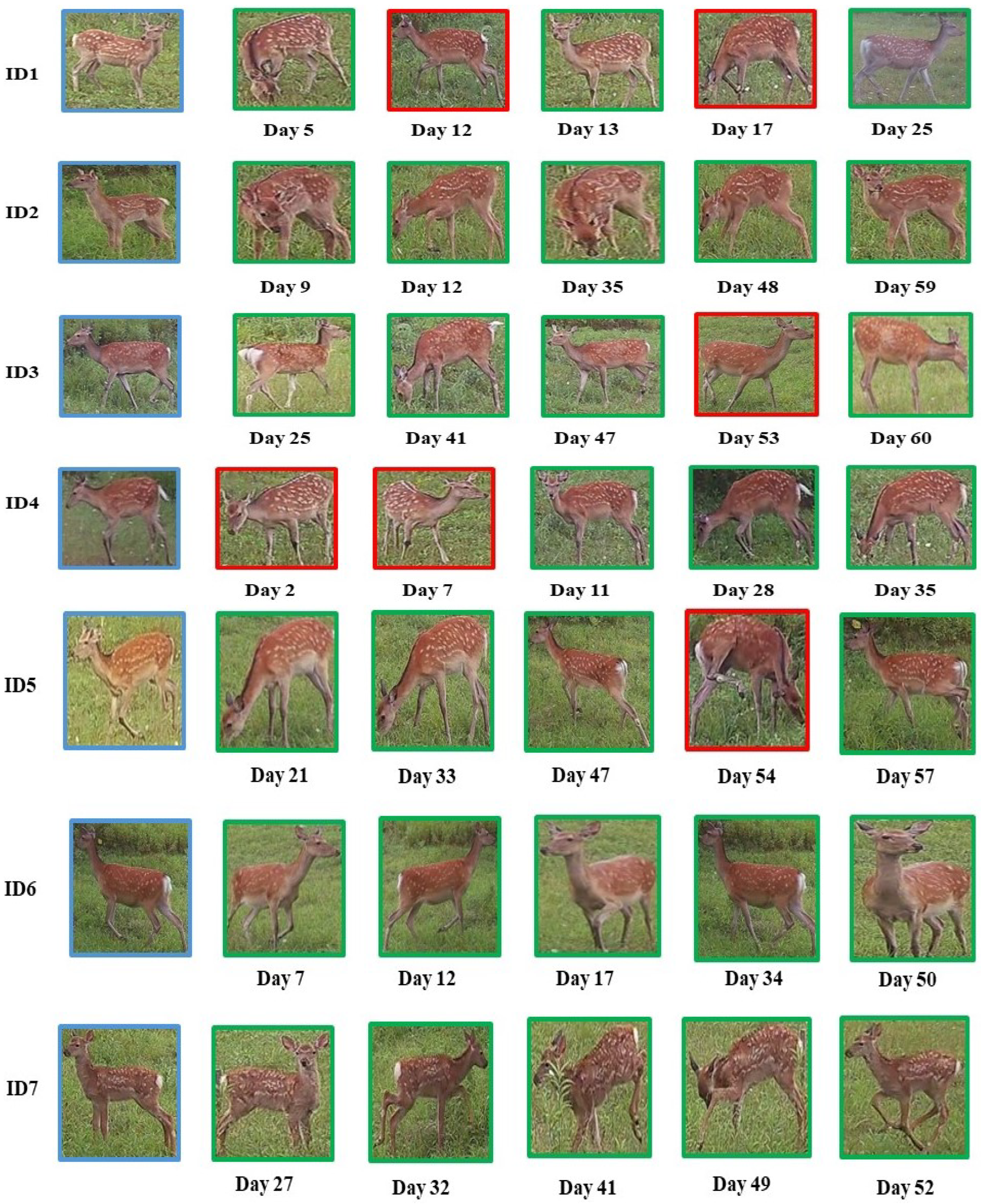 Electronics 13 02067 g007