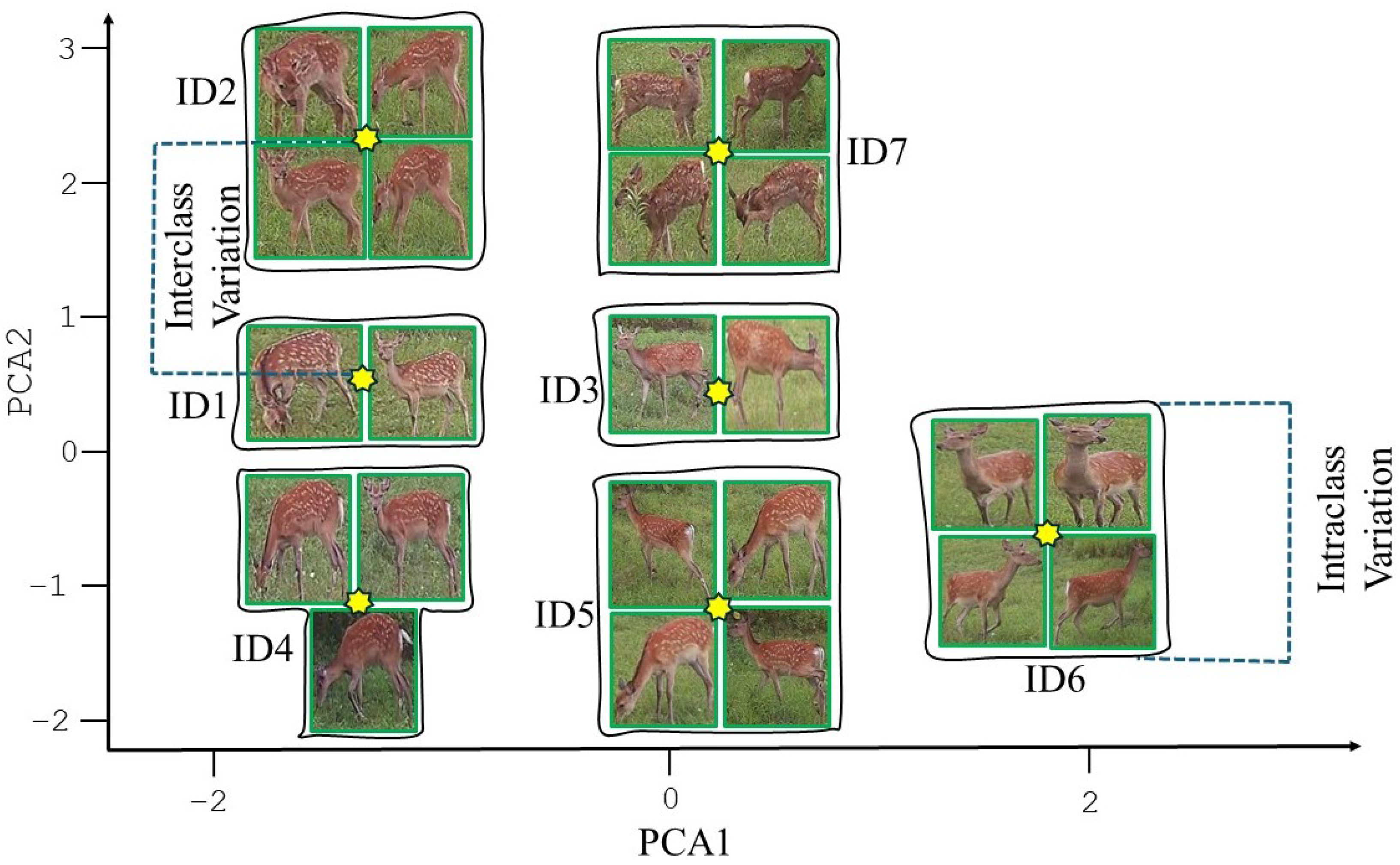 Electronics 13 02067 g011