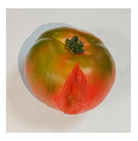 Electronics 13 02114 i009