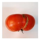 Electronics 13 02114 i011