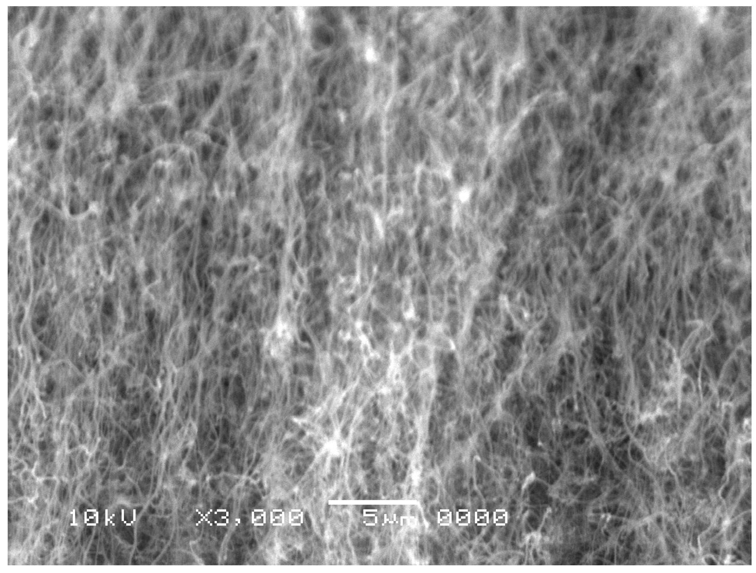 Electronics 13 02169 g001