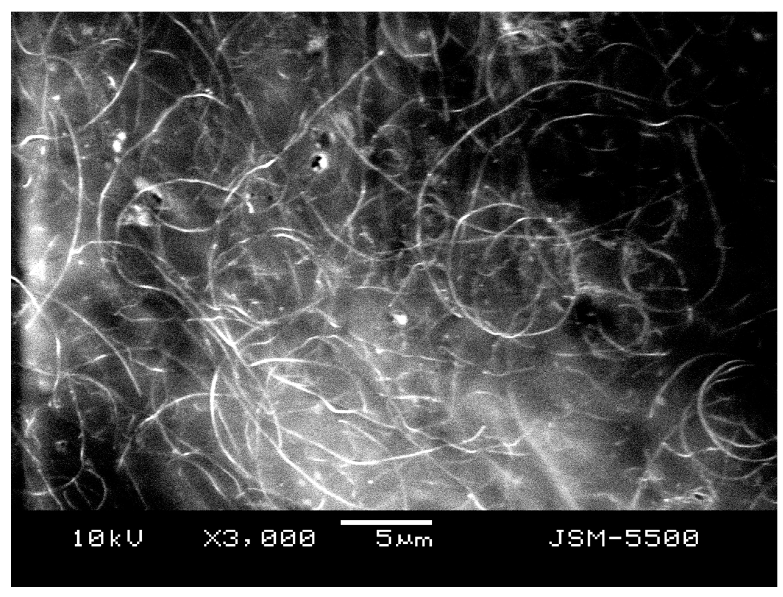 Electronics 13 02169 g003