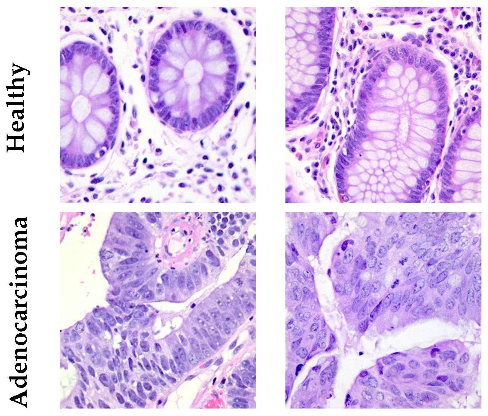 Electronics 13 02248 g002