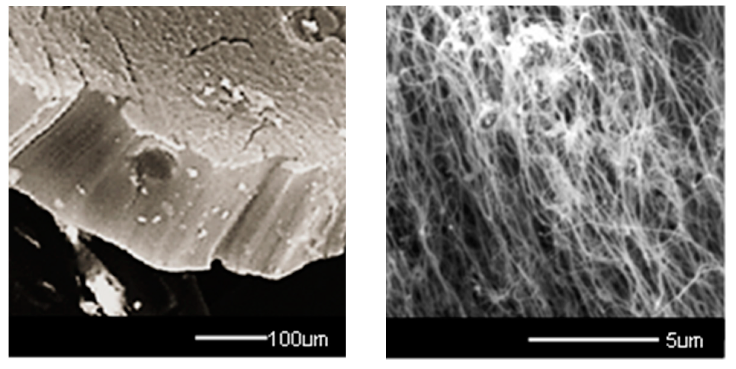 Electronics 13 02287 g002