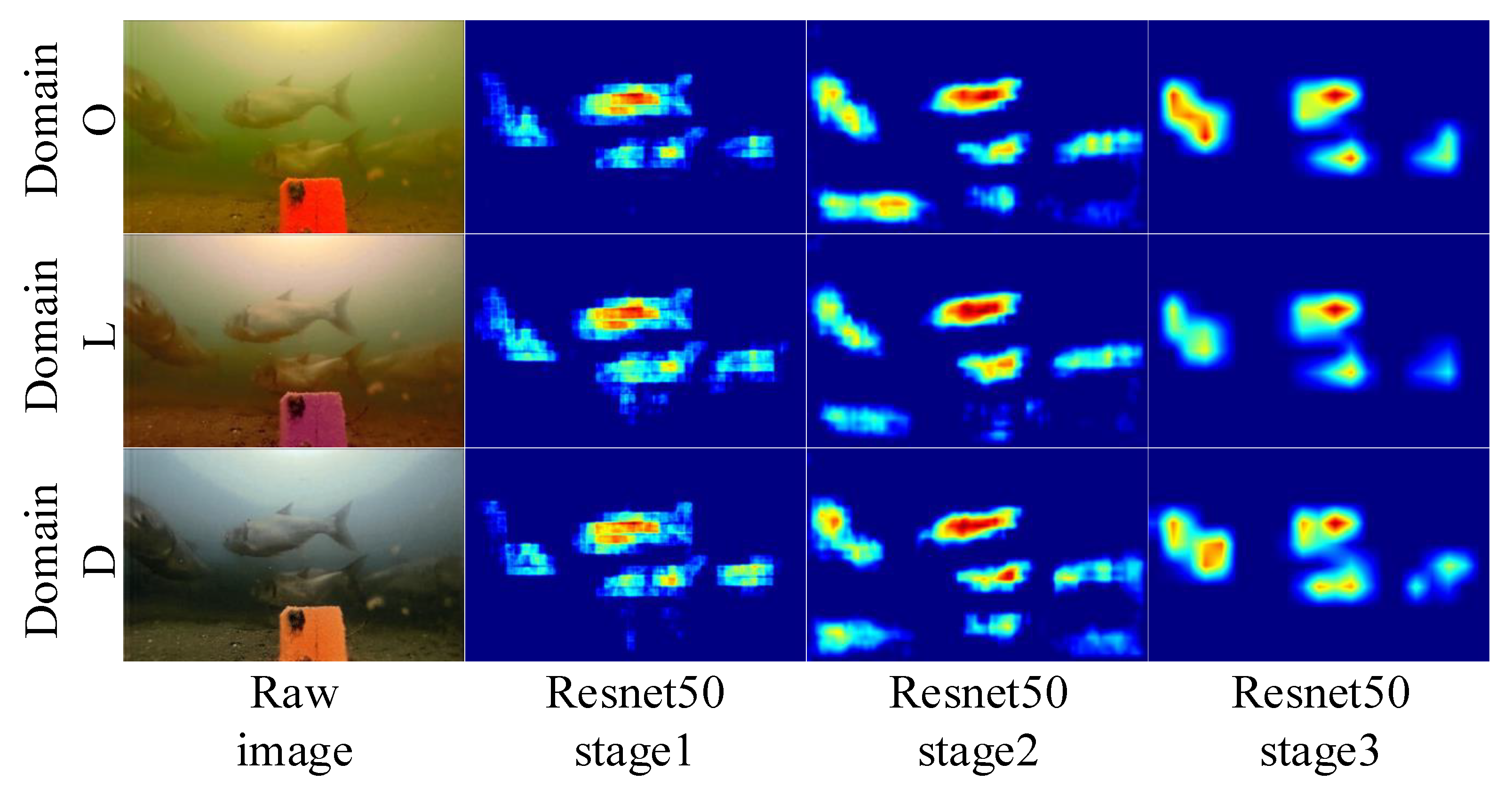 Underwater Fish Object Detection with Degraded Prior Knowledge