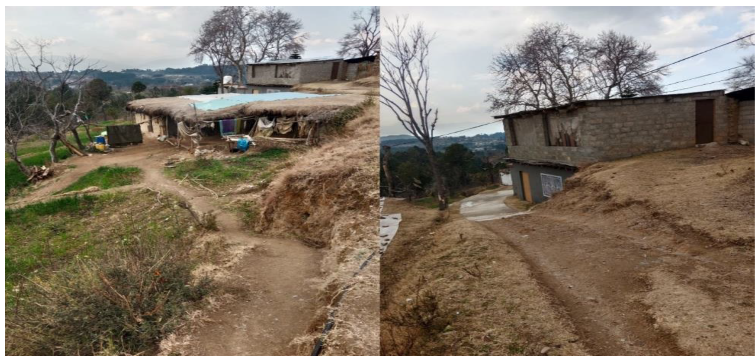 Electronics 13 02487 g006