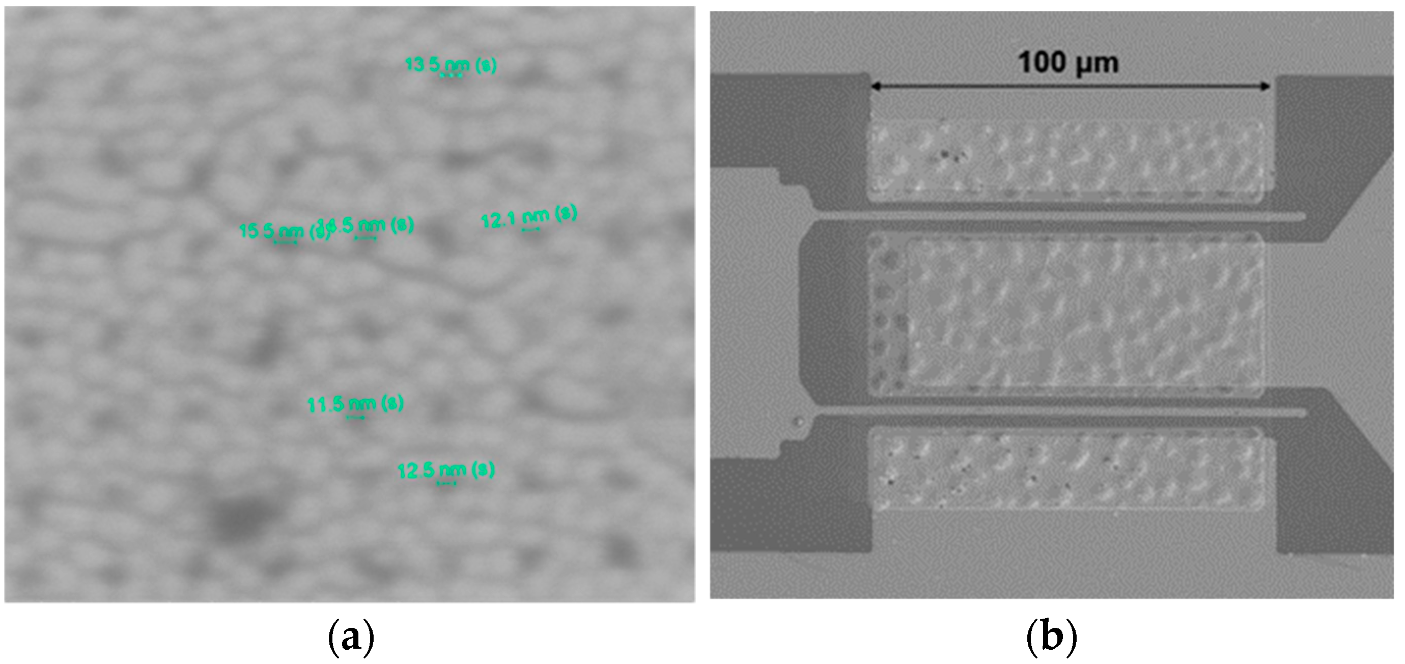 Electronics 13 02490 g003