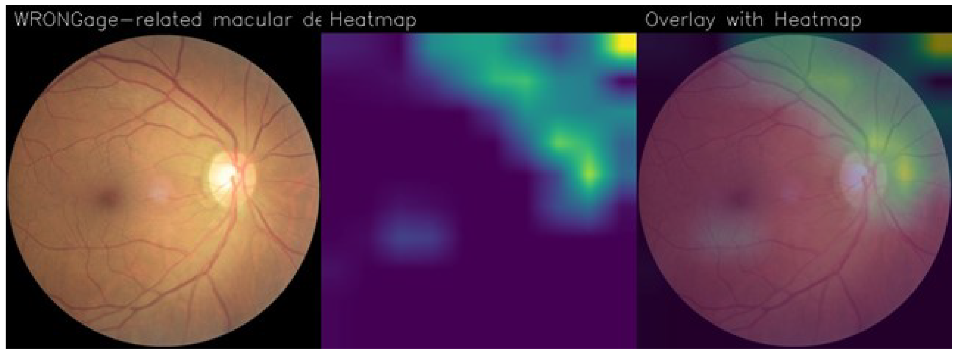 Electronics 13 02706 g007