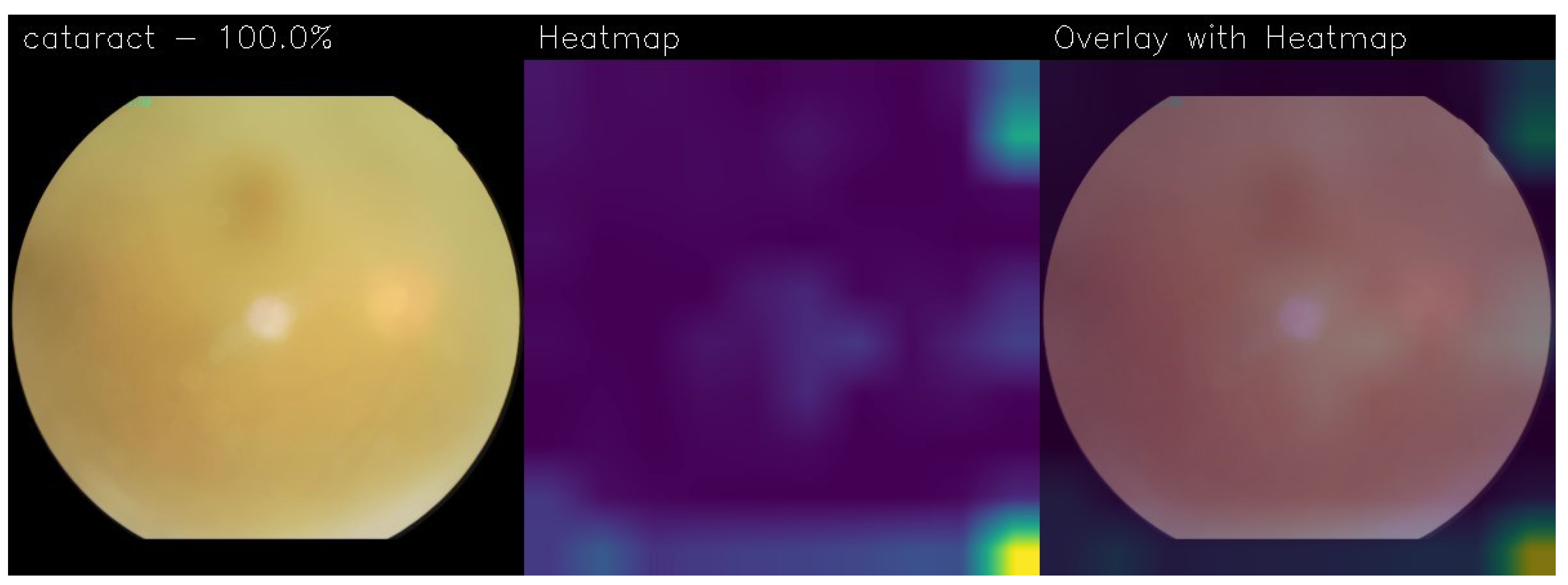 Electronics 13 02706 g011