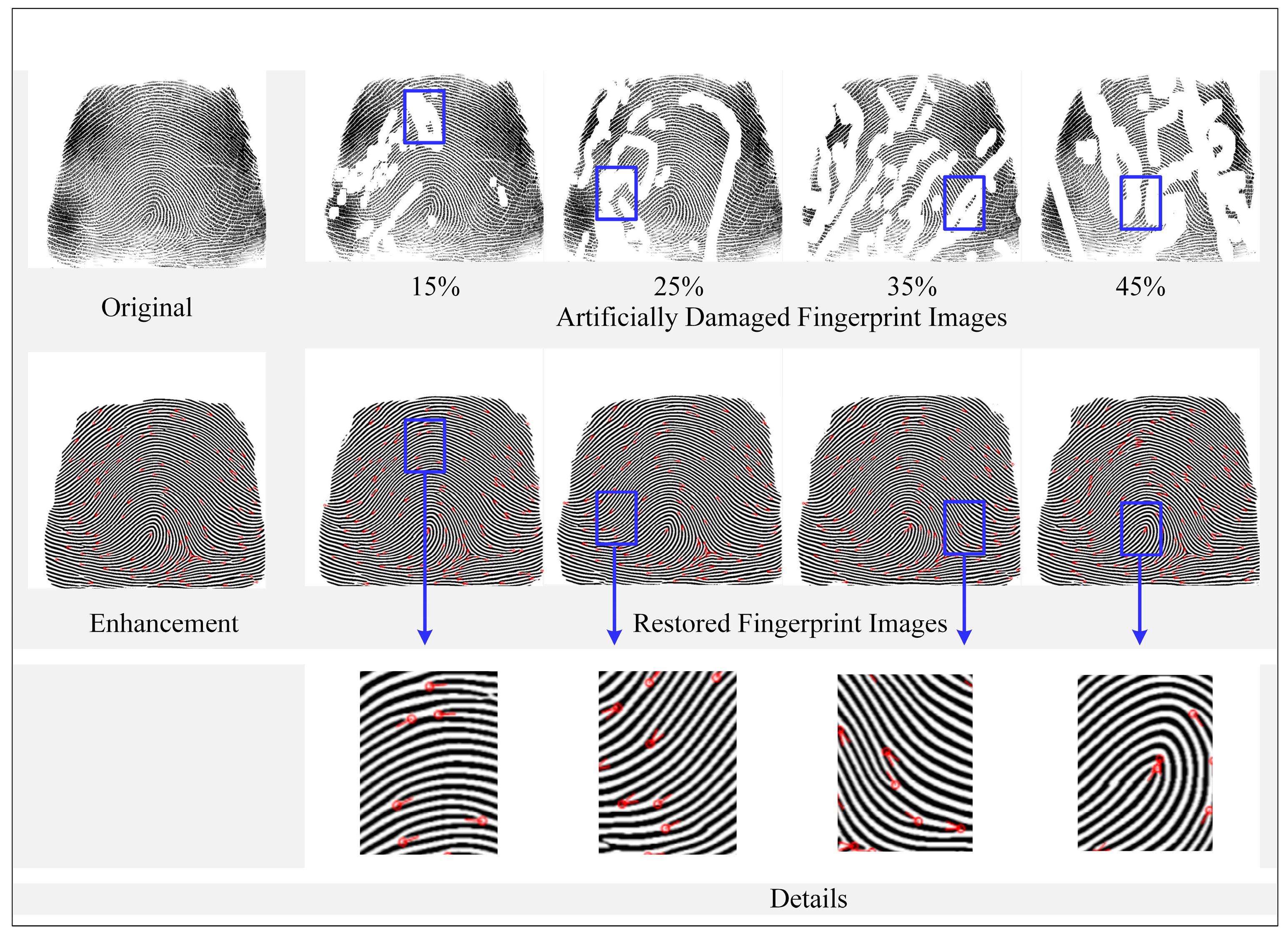 Electronics 13 02873 g005