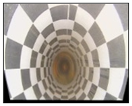 Electronics 13 02898 i023 Electronics 13 02898 i023