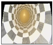 Electronics 13 02898 i039 Electronics 13 02898 i039