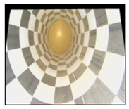 Electronics 13 02898 i040 Electronics 13 02898 i040