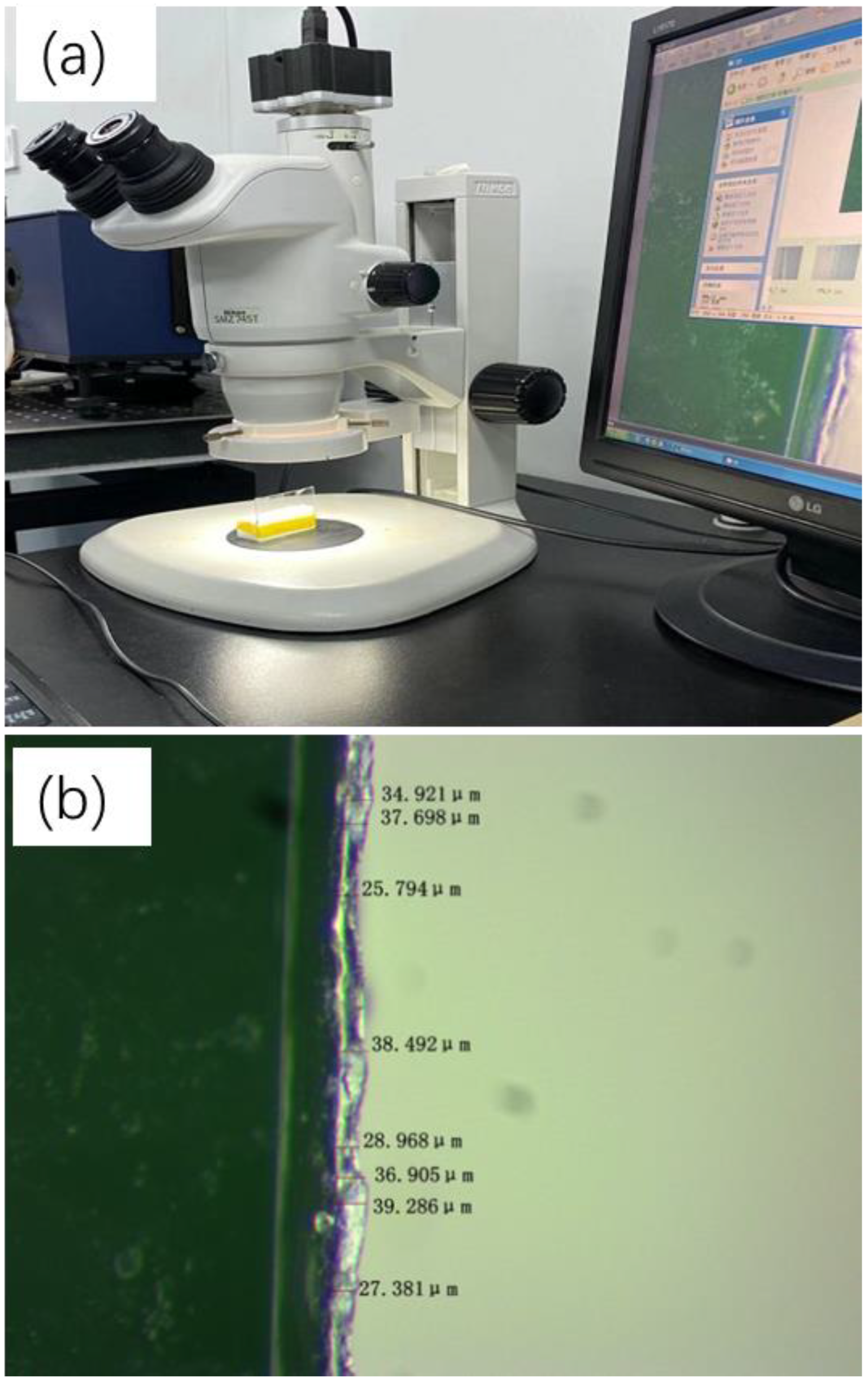 Electronics 13 02910 g005 Electronics 13 02910 g005