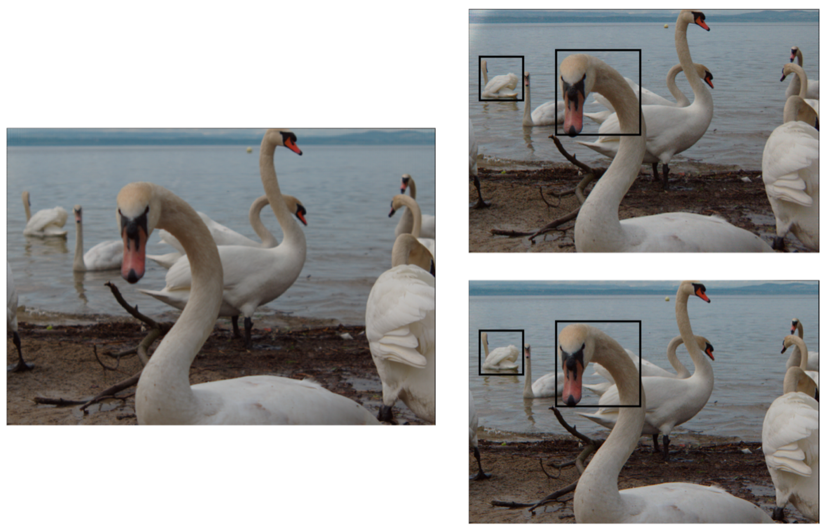 Electronics 13 02985 g003