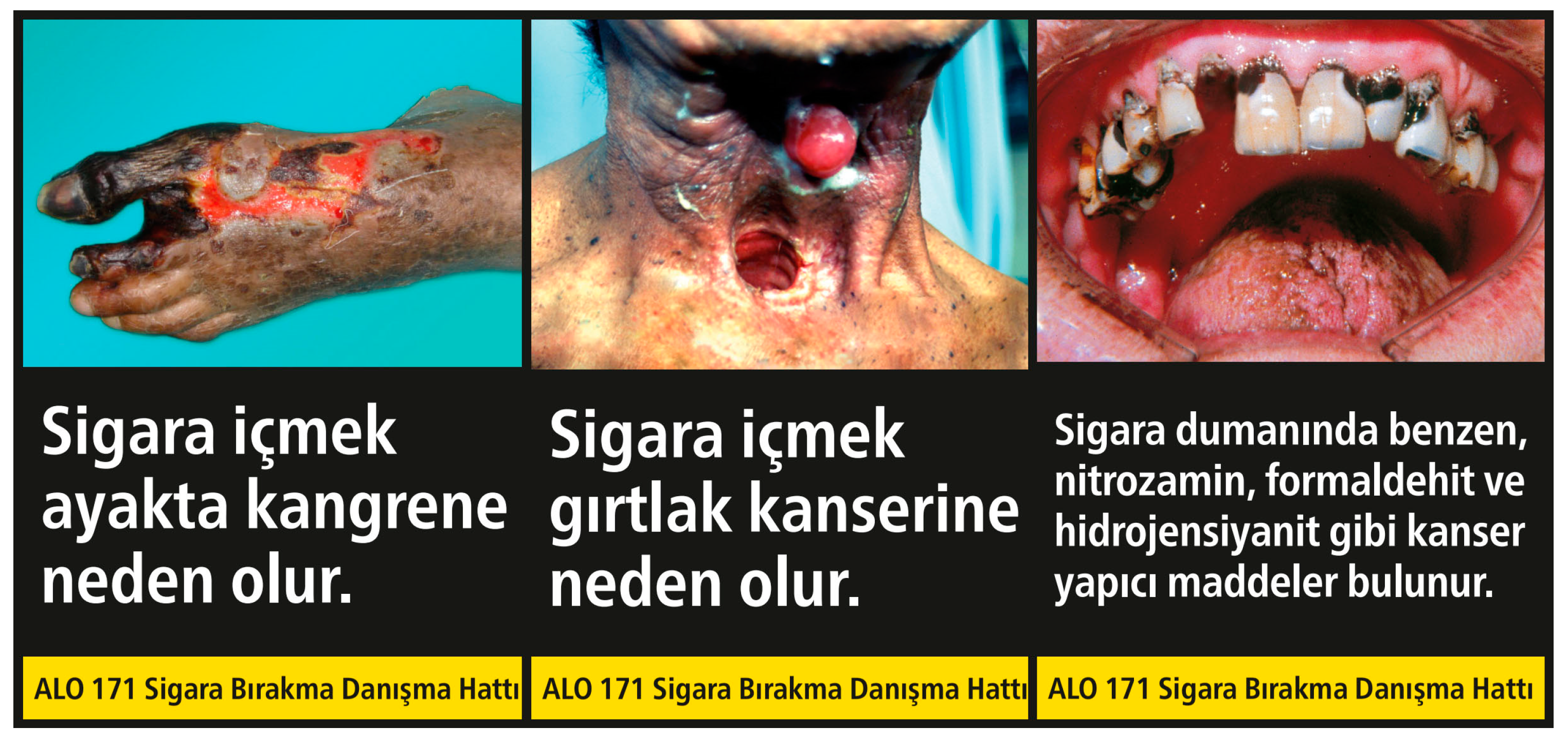 Electronics 13 03000 g002