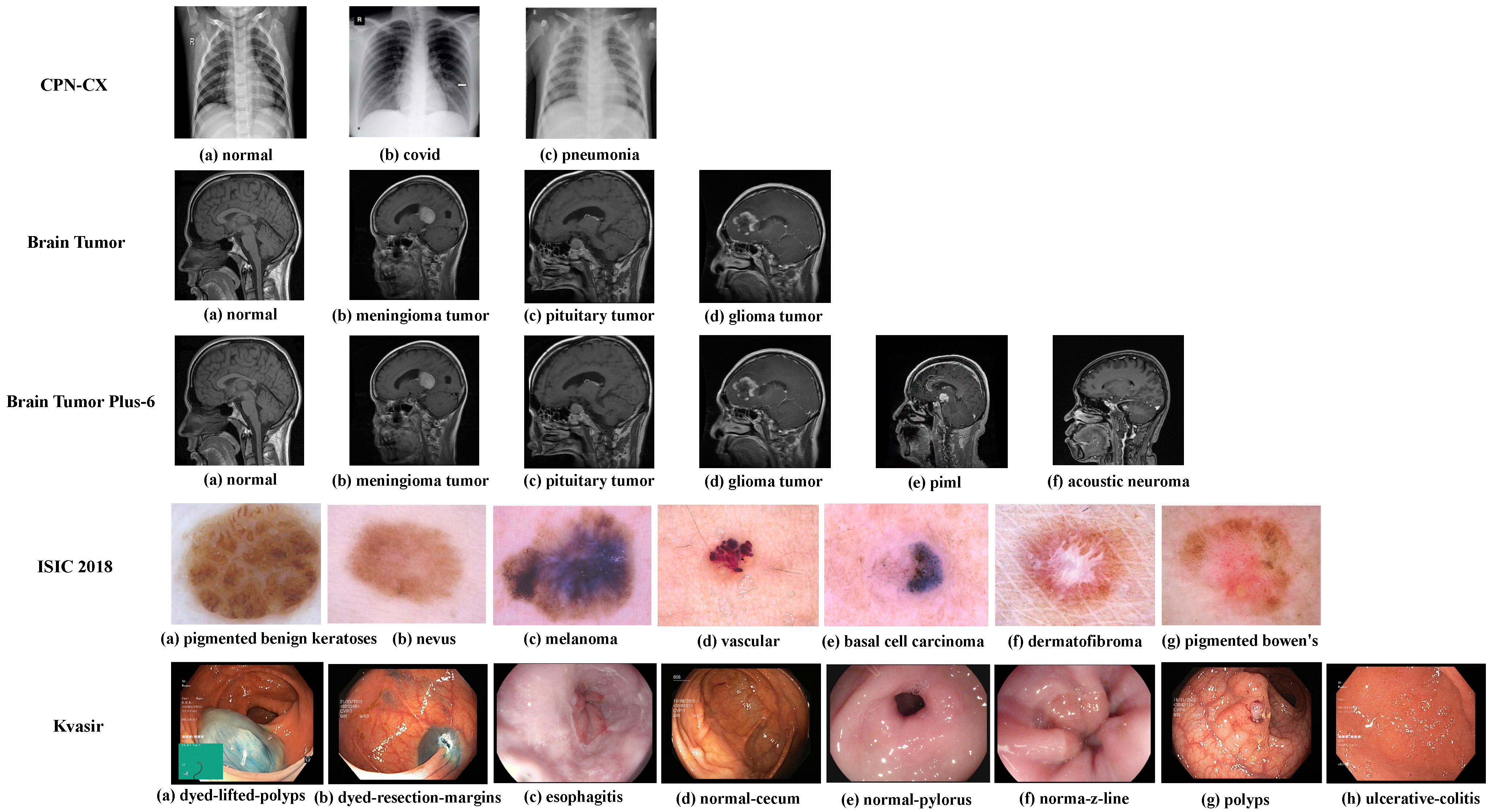 Electronics 13 03094 g003