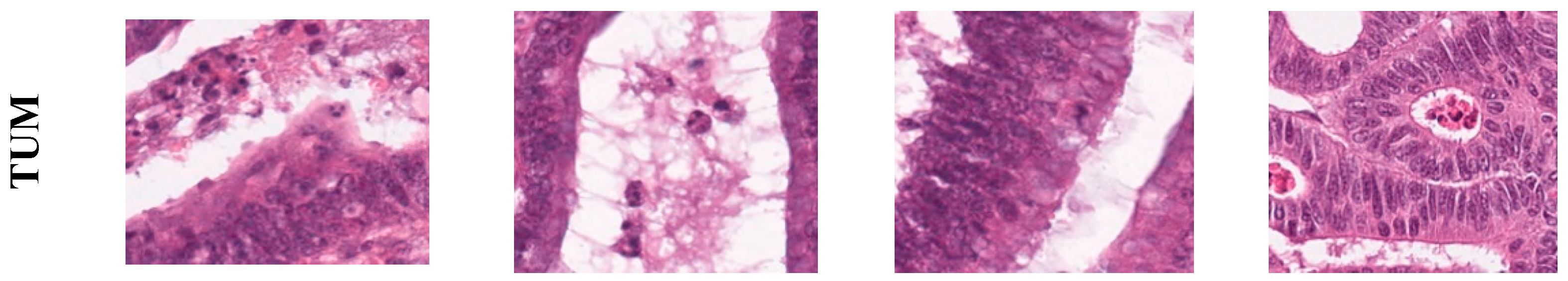 Electronics 13 03126 g002b