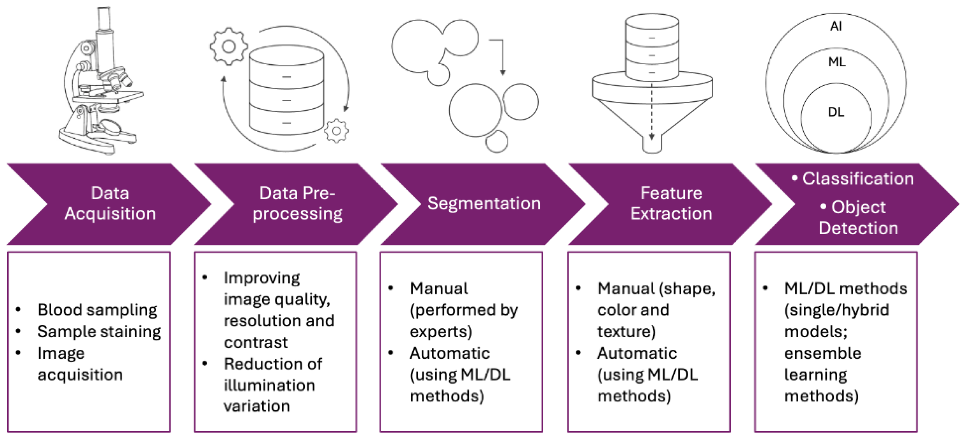 Electronics 13 03174 g002