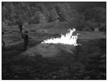 Electronics 13 03175 i002