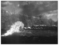 Electronics 13 03175 i015