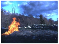 Electronics 13 03175 i018