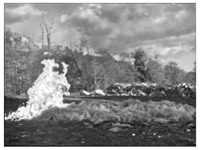 Electronics 13 03175 i019