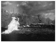 Electronics 13 03175 i021