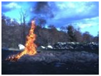 Electronics 13 03175 i022