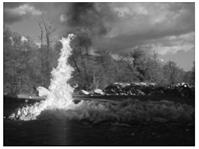 Electronics 13 03175 i025