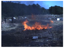 Electronics 13 03175 i028