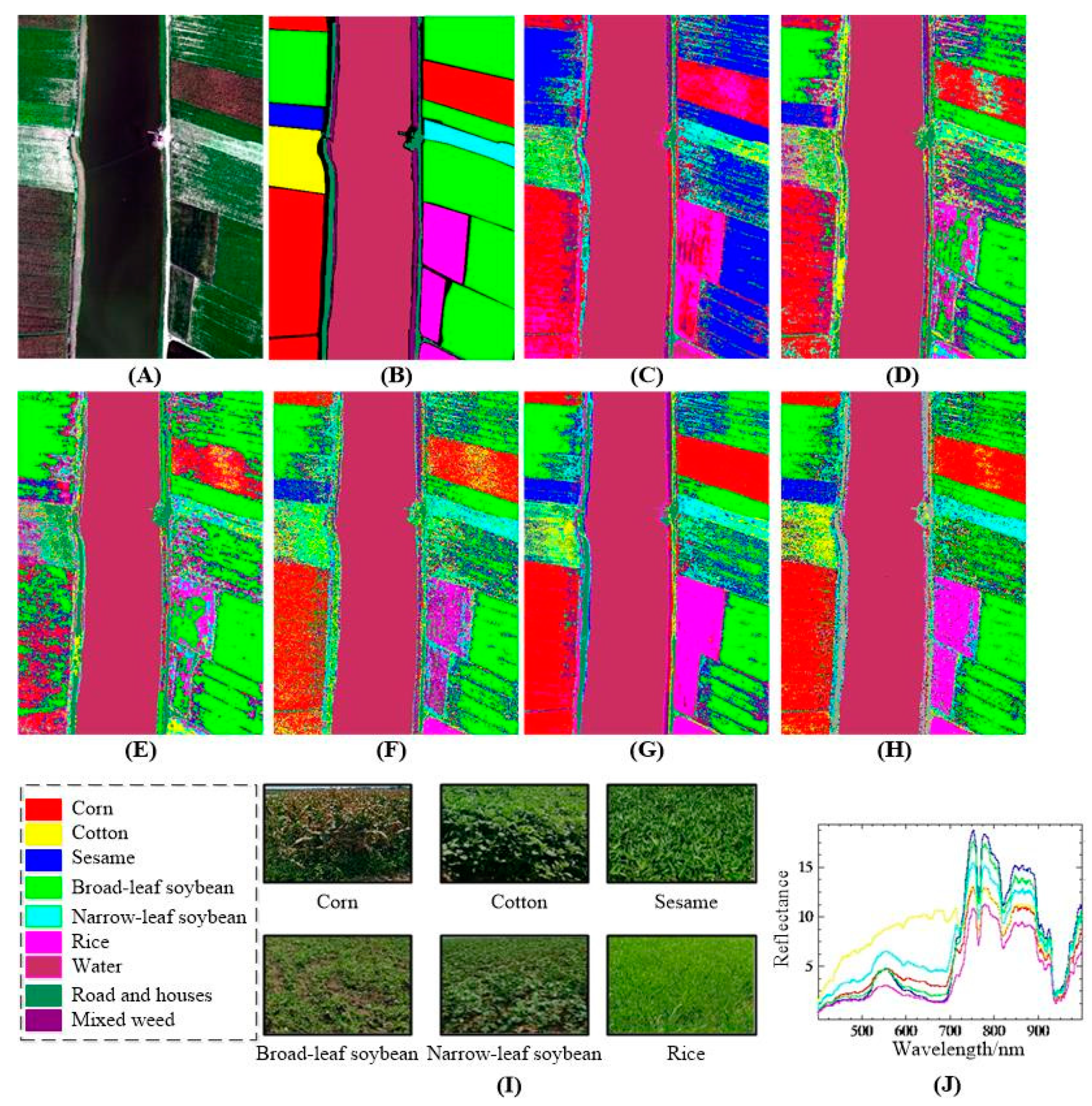 Electronics 13 03199 g007