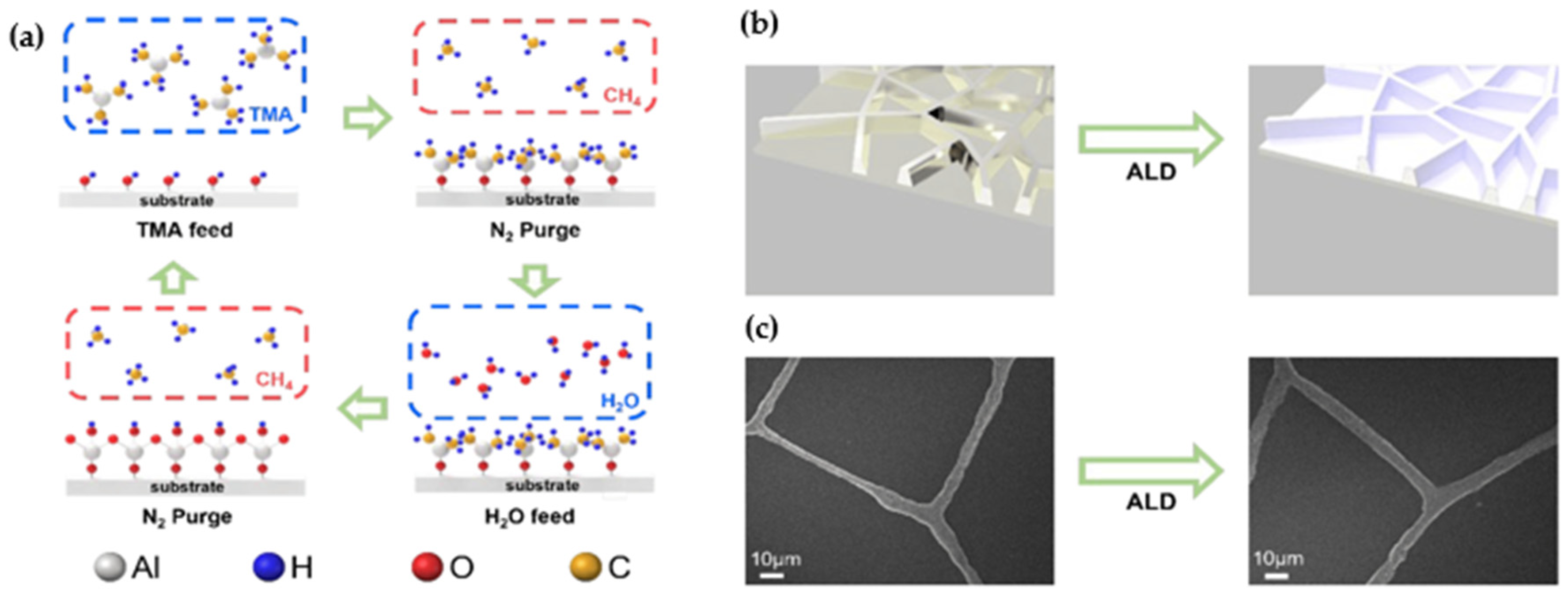 Electronics 13 03409 g004