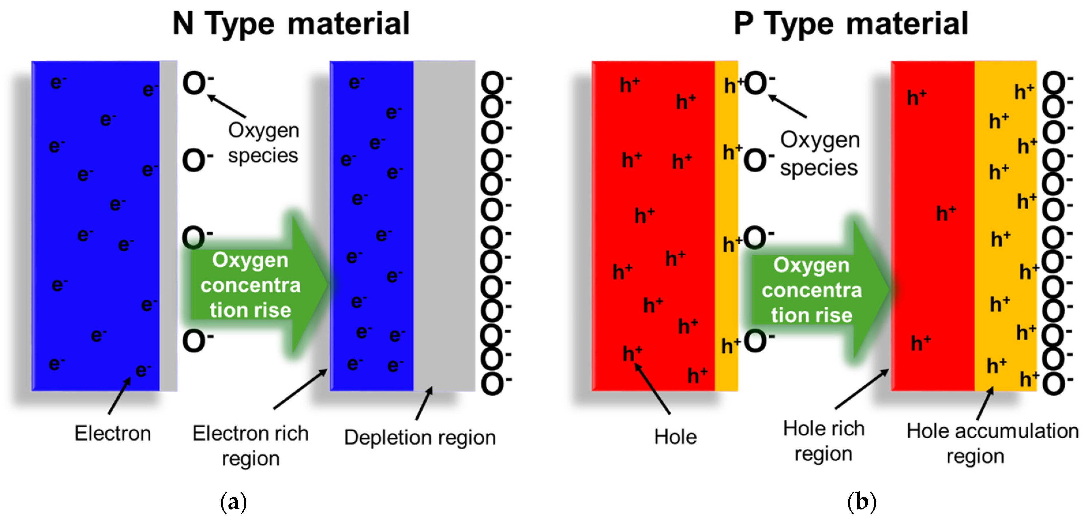 Electronics 13 03409 g006