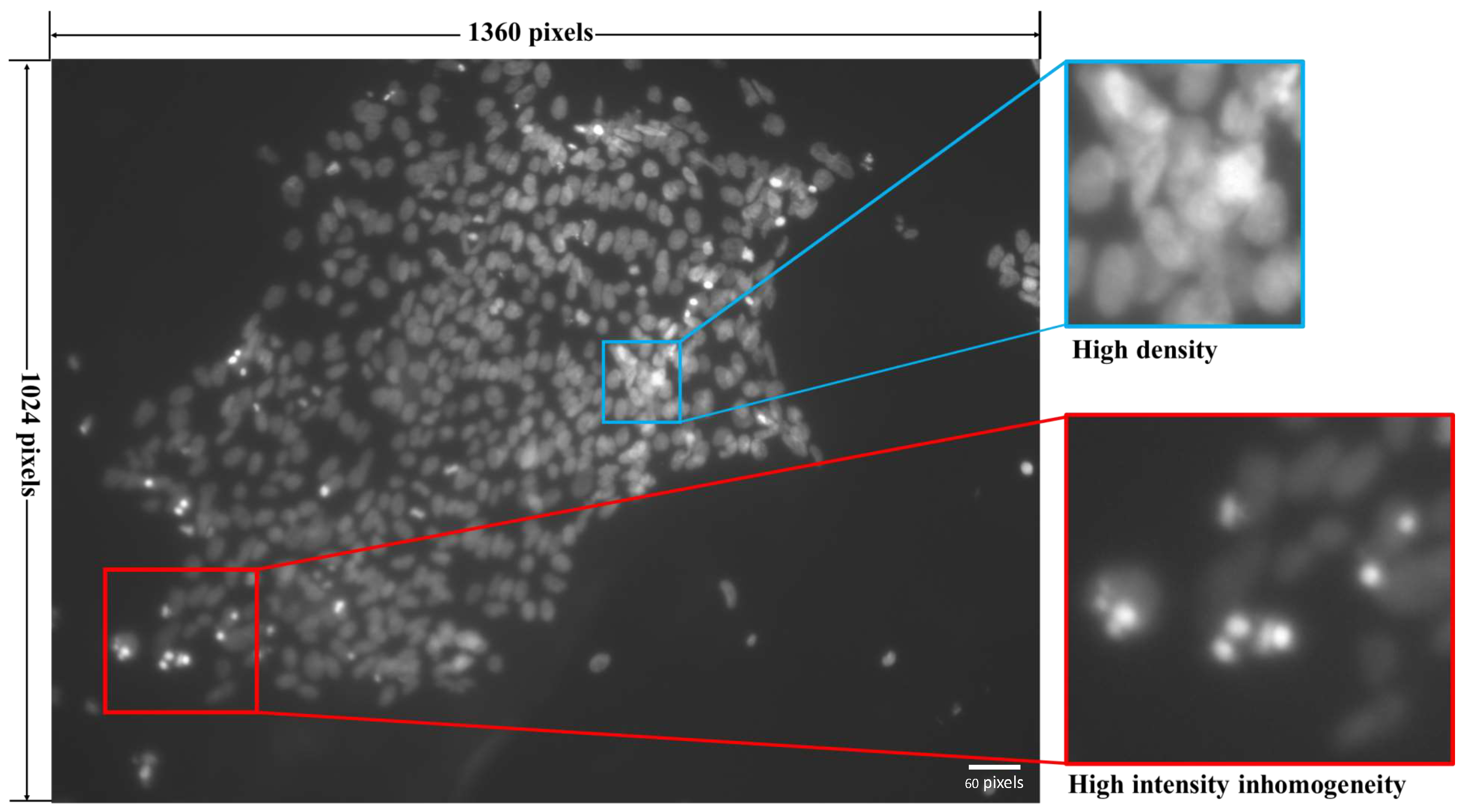 Electronics 13 03430 g001 Electronics 13 03430 g001