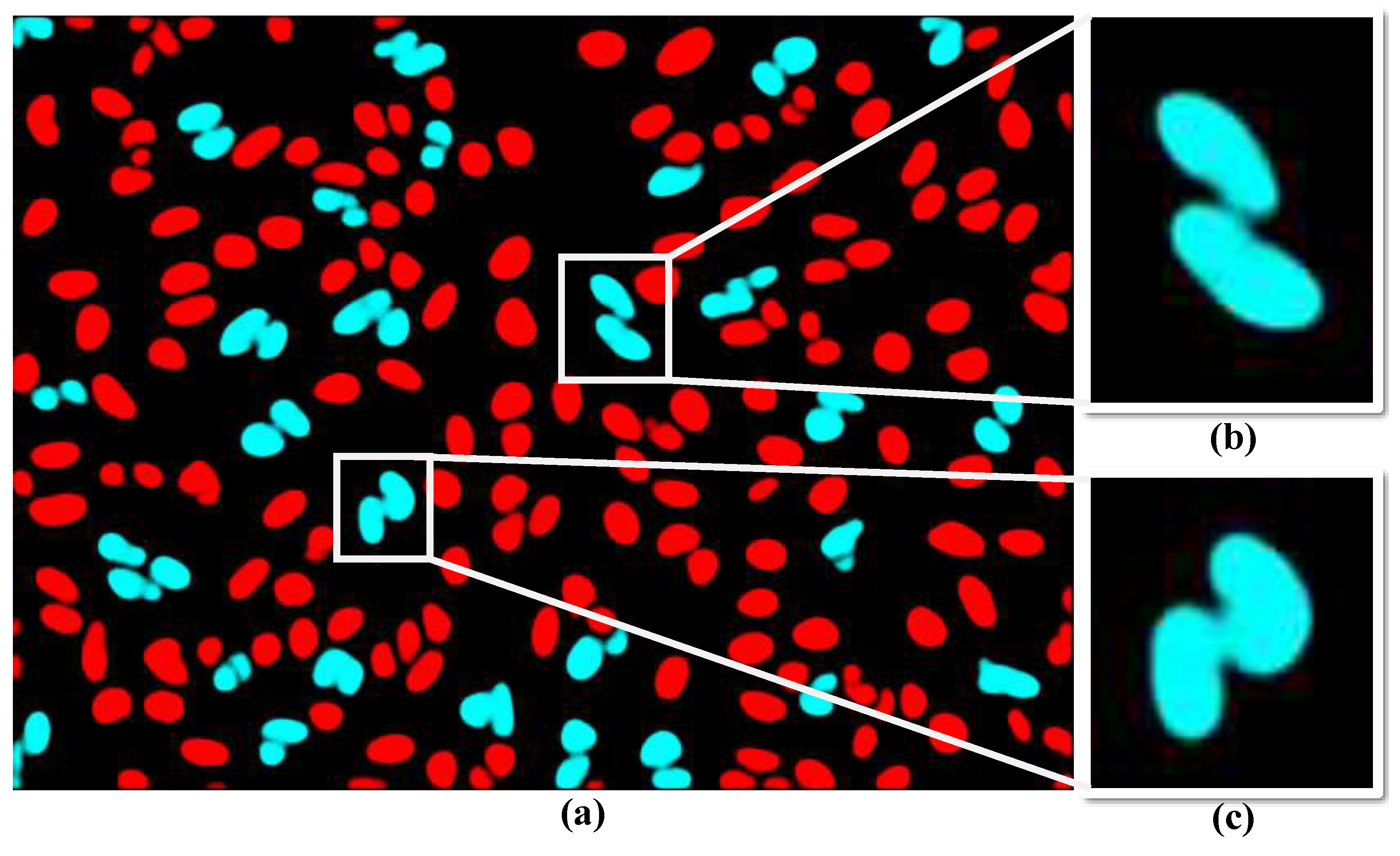 Electronics 13 03430 g004 Electronics 13 03430 g004
