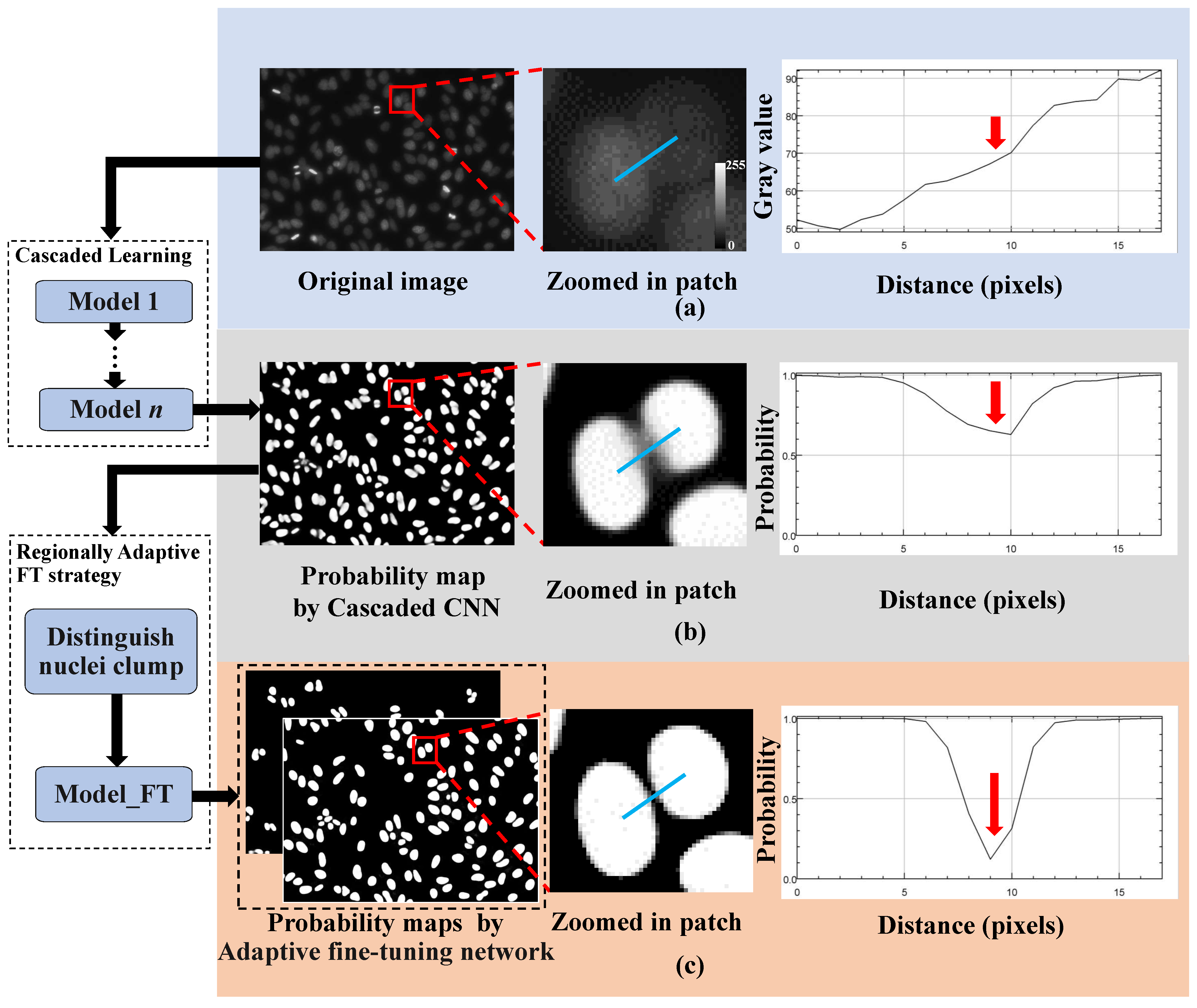 Electronics 13 03430 g005 Electronics 13 03430 g005