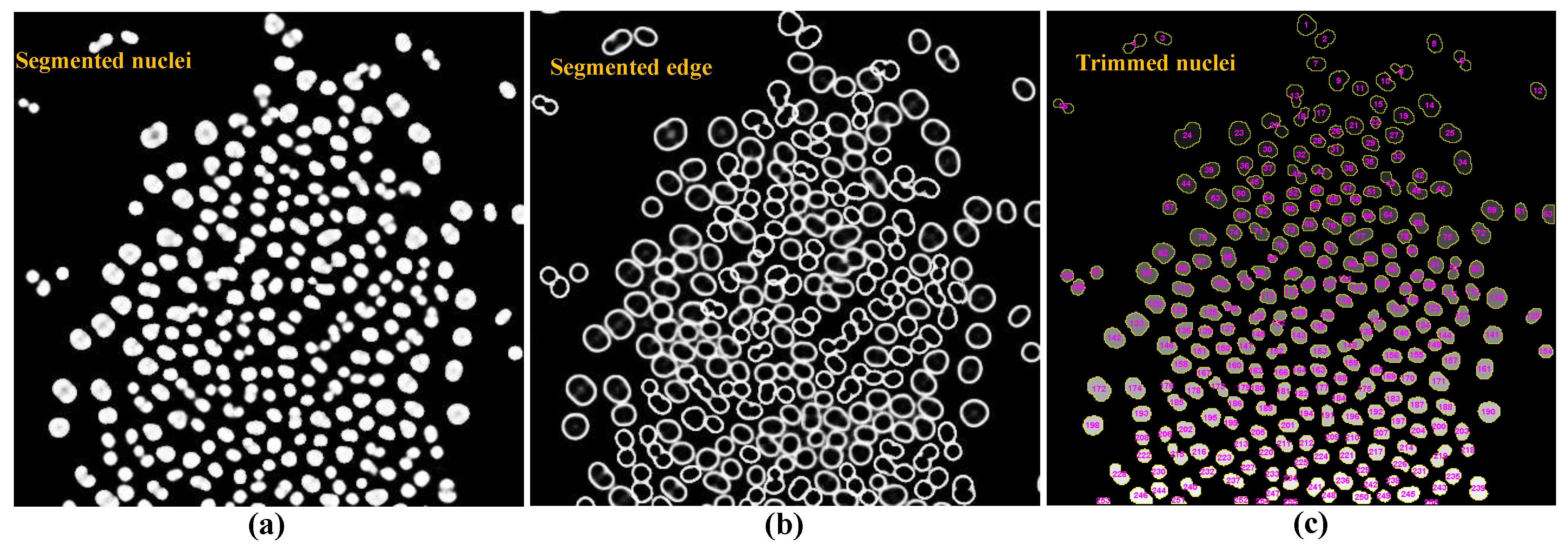 Electronics 13 03430 g011 Electronics 13 03430 g011