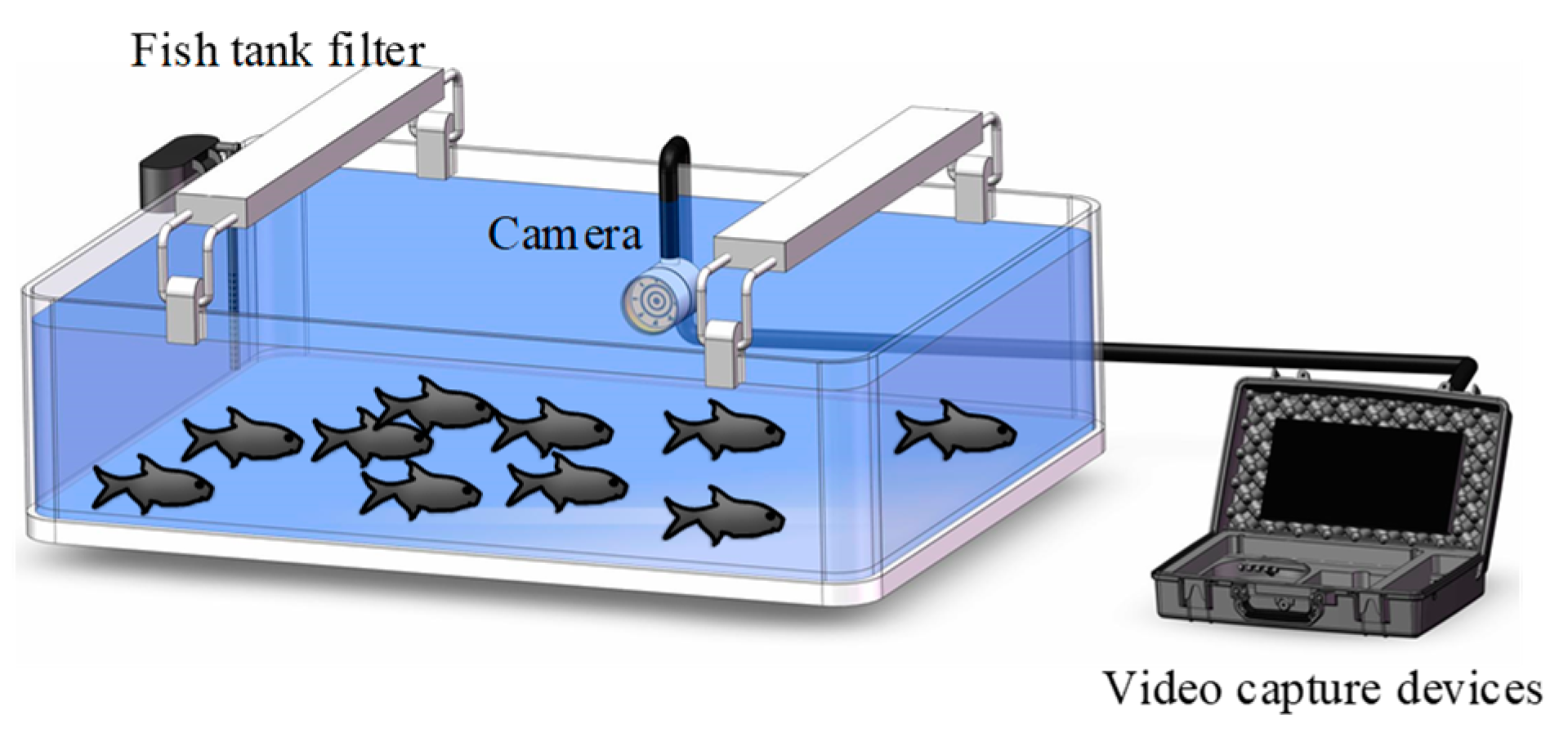 Electronics 13 03547 g007
