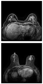 Electronics 13 03575 i019