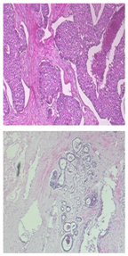 Electronics 13 03575 i022