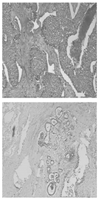 Electronics 13 03575 i025