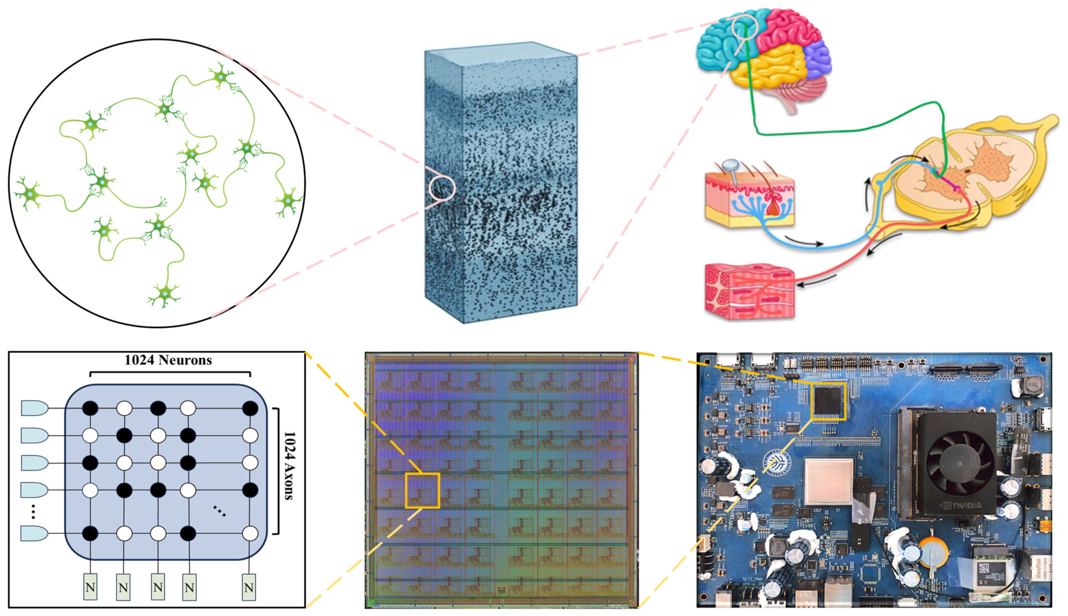 Electronics 13 03619 g003